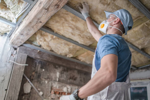 Best Eco-Friendly Insulation in Fort Salonga, NY